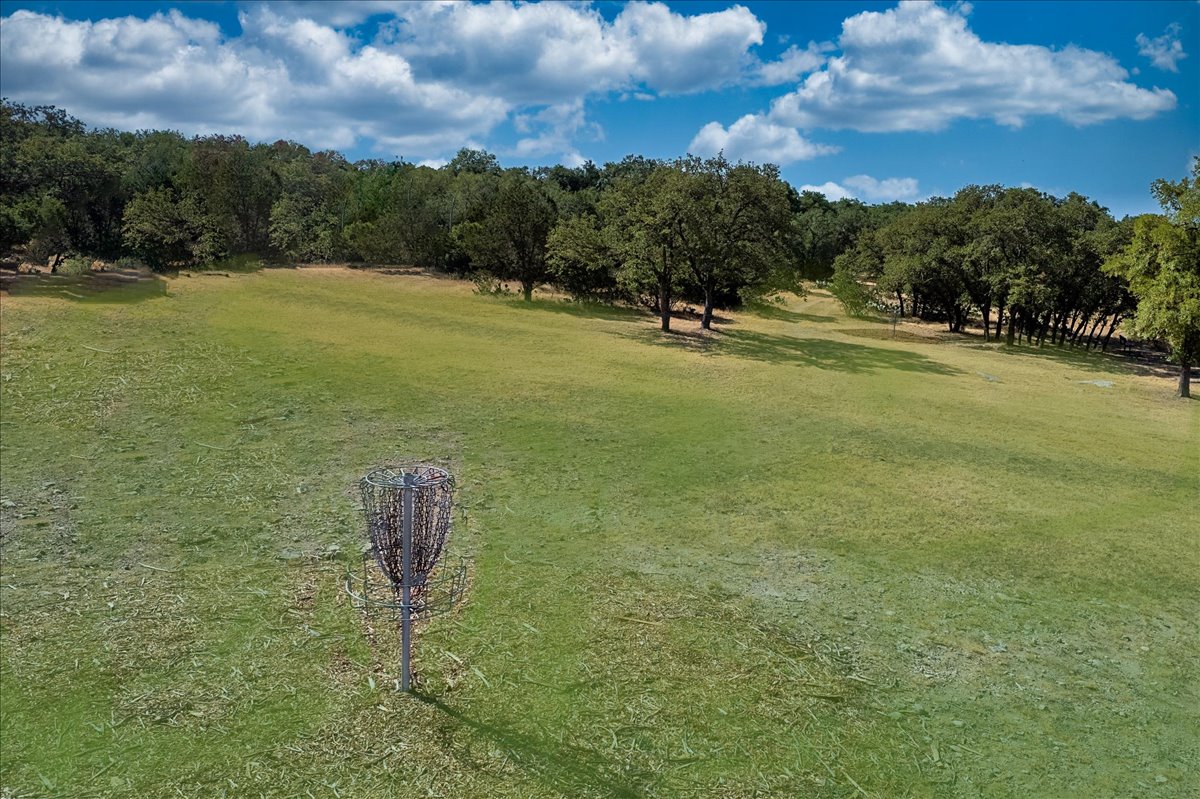 21641 Boggy Ford Road Lago Vista, TX 78645 - Photo 22 of 28