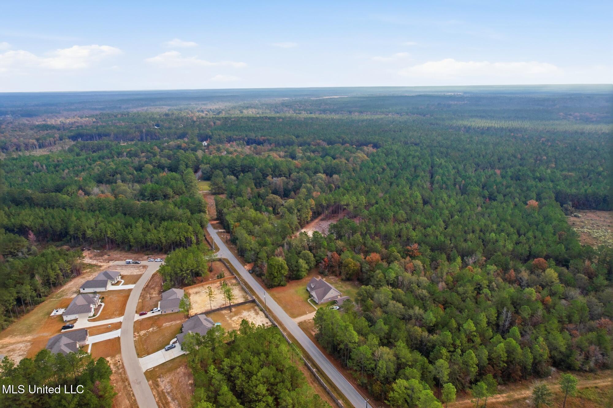 279 Todd Road Sumrall, MS 39482 - Photo 56 of 57 dji_0014