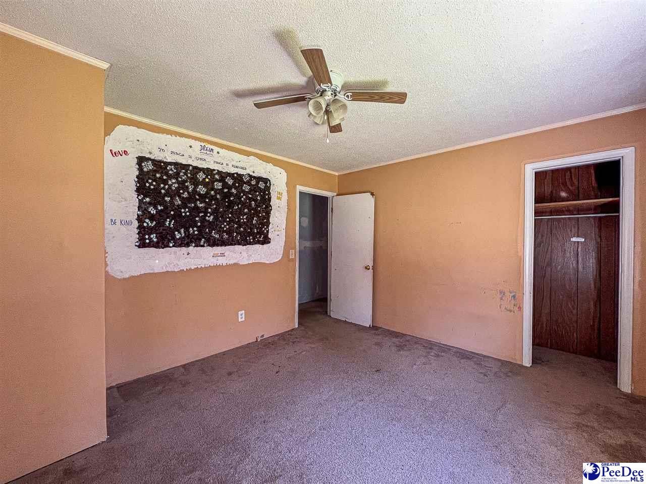 2398 State Rd S-14-28 Alcolu, SC 29001 - Photo 29 of 51 Gallery Image 29