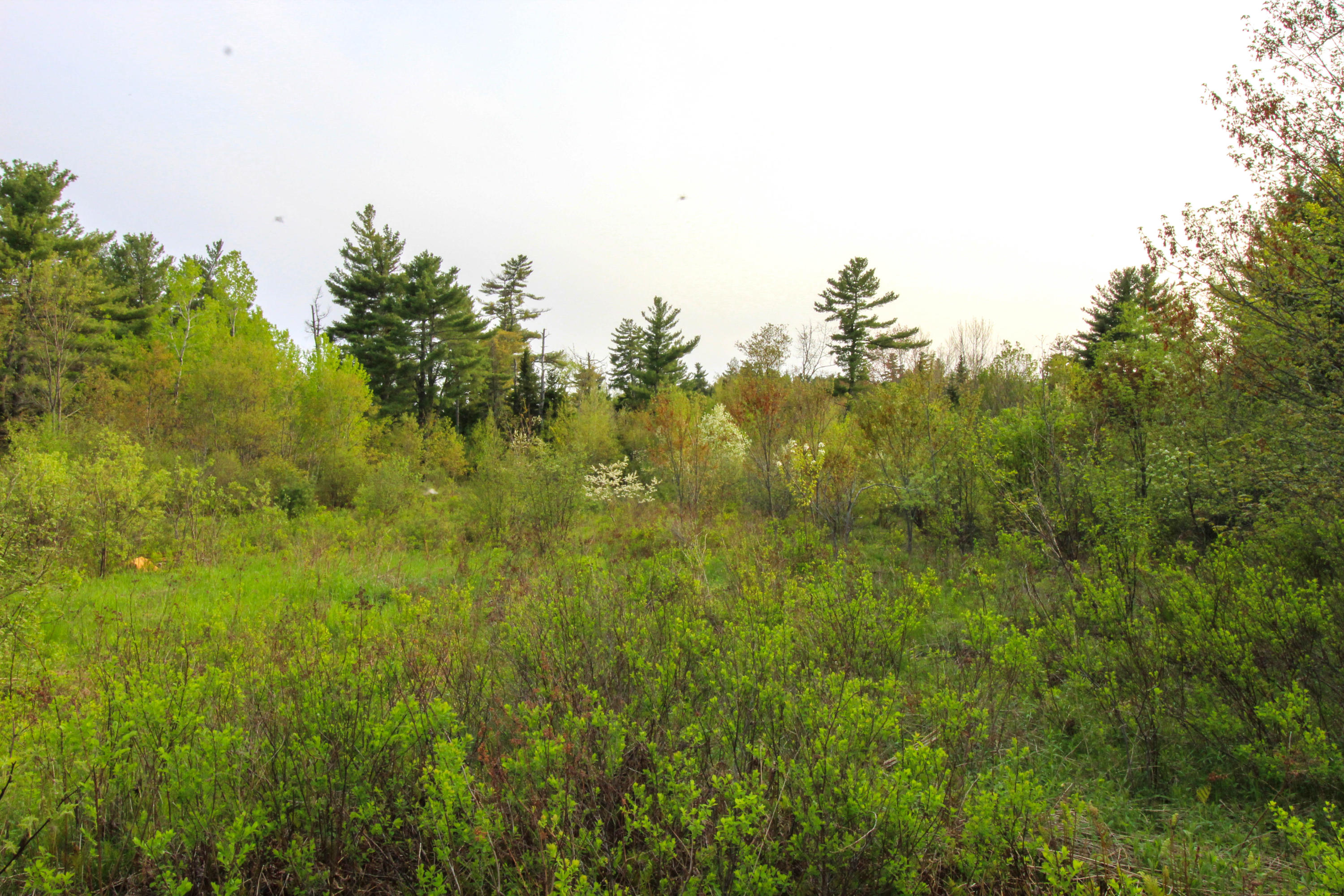 5-8 Boggy Brook Road Ellsworth, ME 04605 - Photo 16 of 28 Building Area