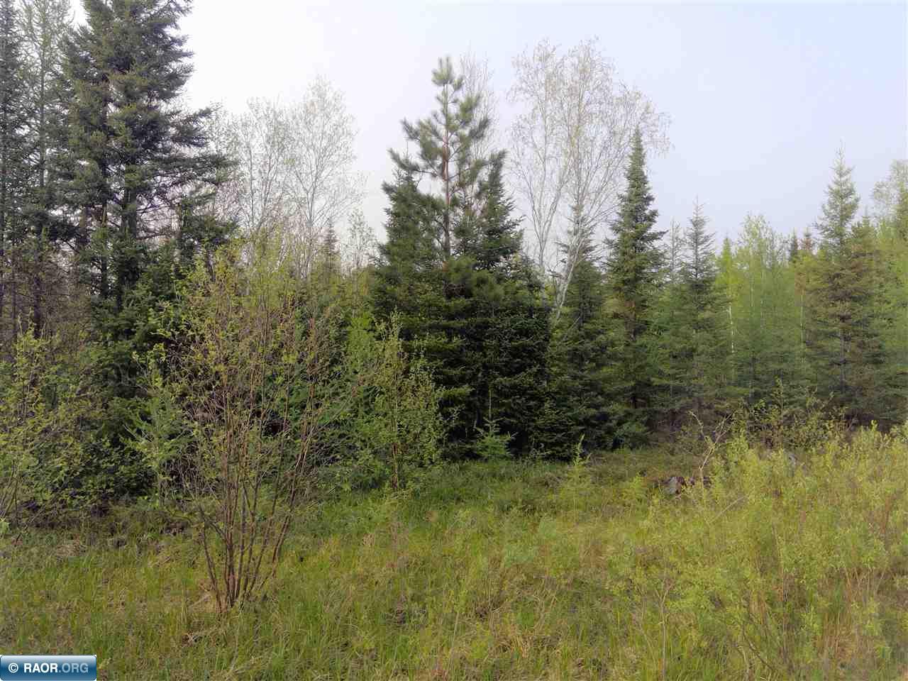 Xxxxx Town Line Road Hibbing, MN 55746 - Photo 1 of 3 Gallery Image 1