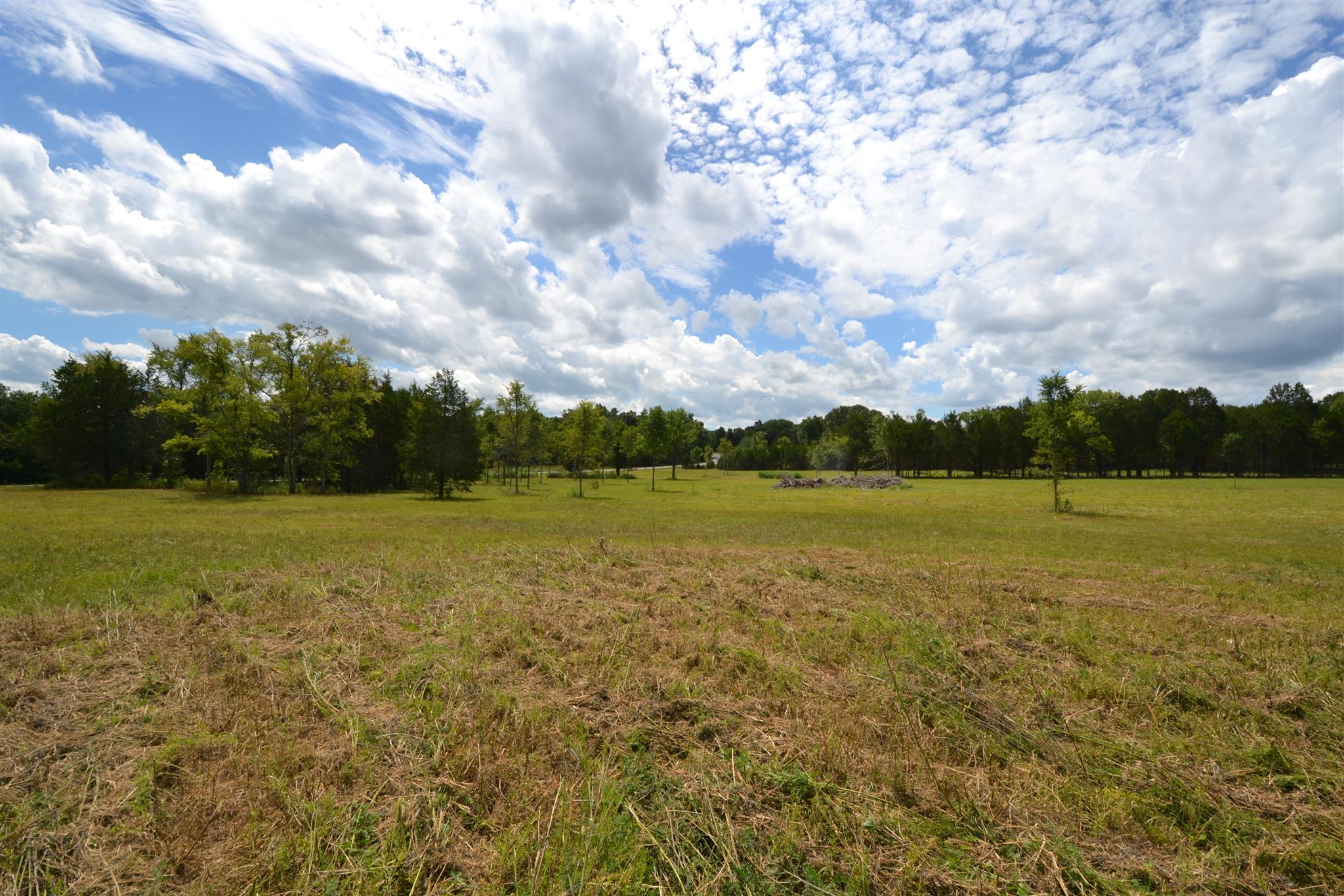 3 Fall Creek Road Lebanon, TN 37090 - Photo 1 of 14 Gallery Image 1