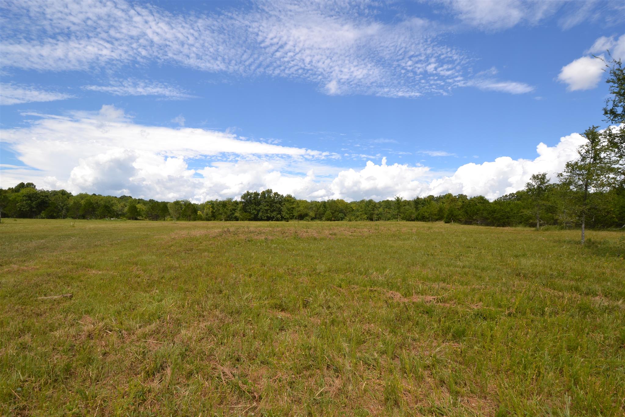 3 Fall Creek Road Lebanon, TN 37090 - Photo 2 of 14 Gallery Image 2