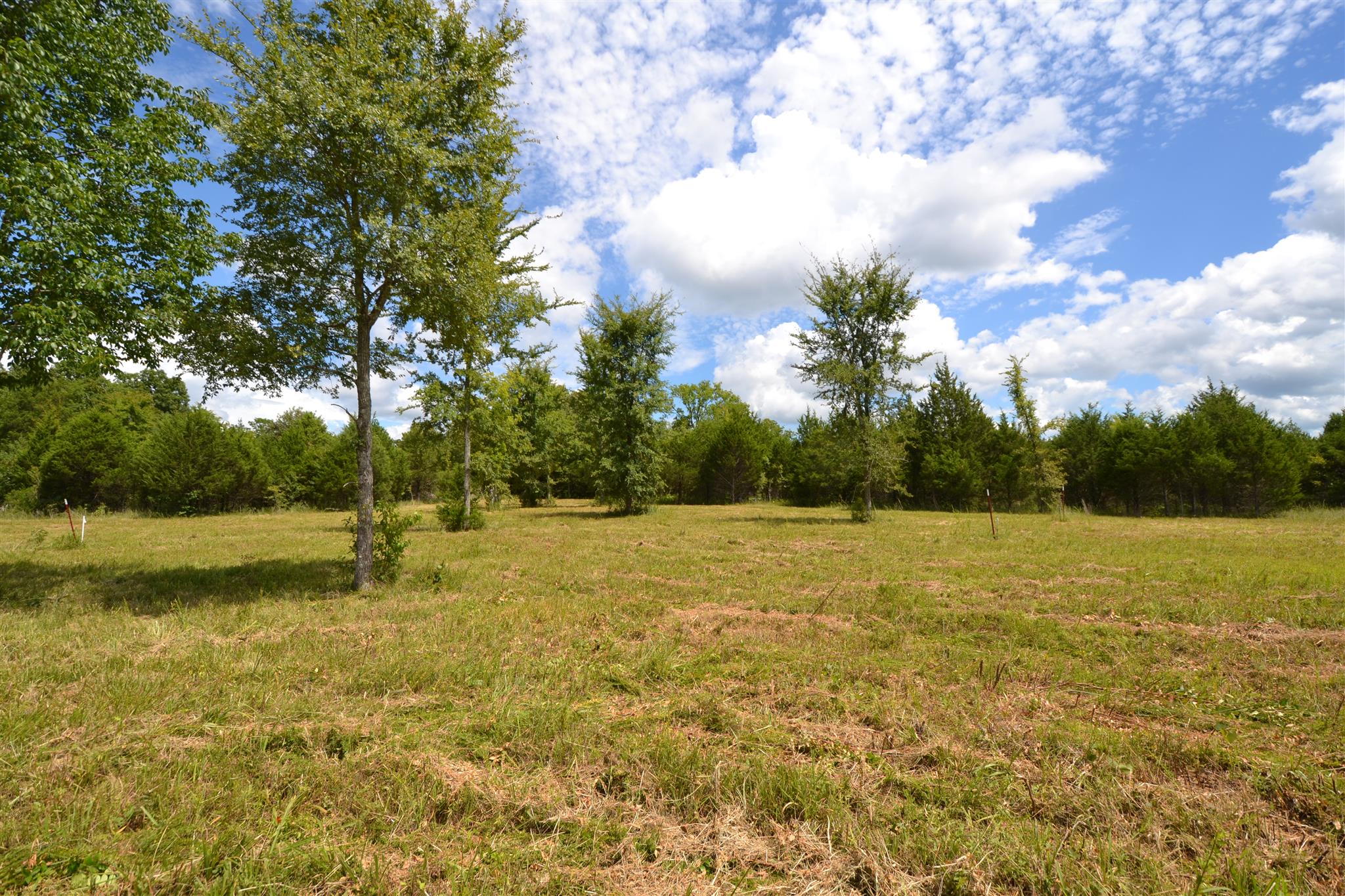 3 Fall Creek Road Lebanon, TN 37090 - Photo 11 of 14 Gallery Image 11