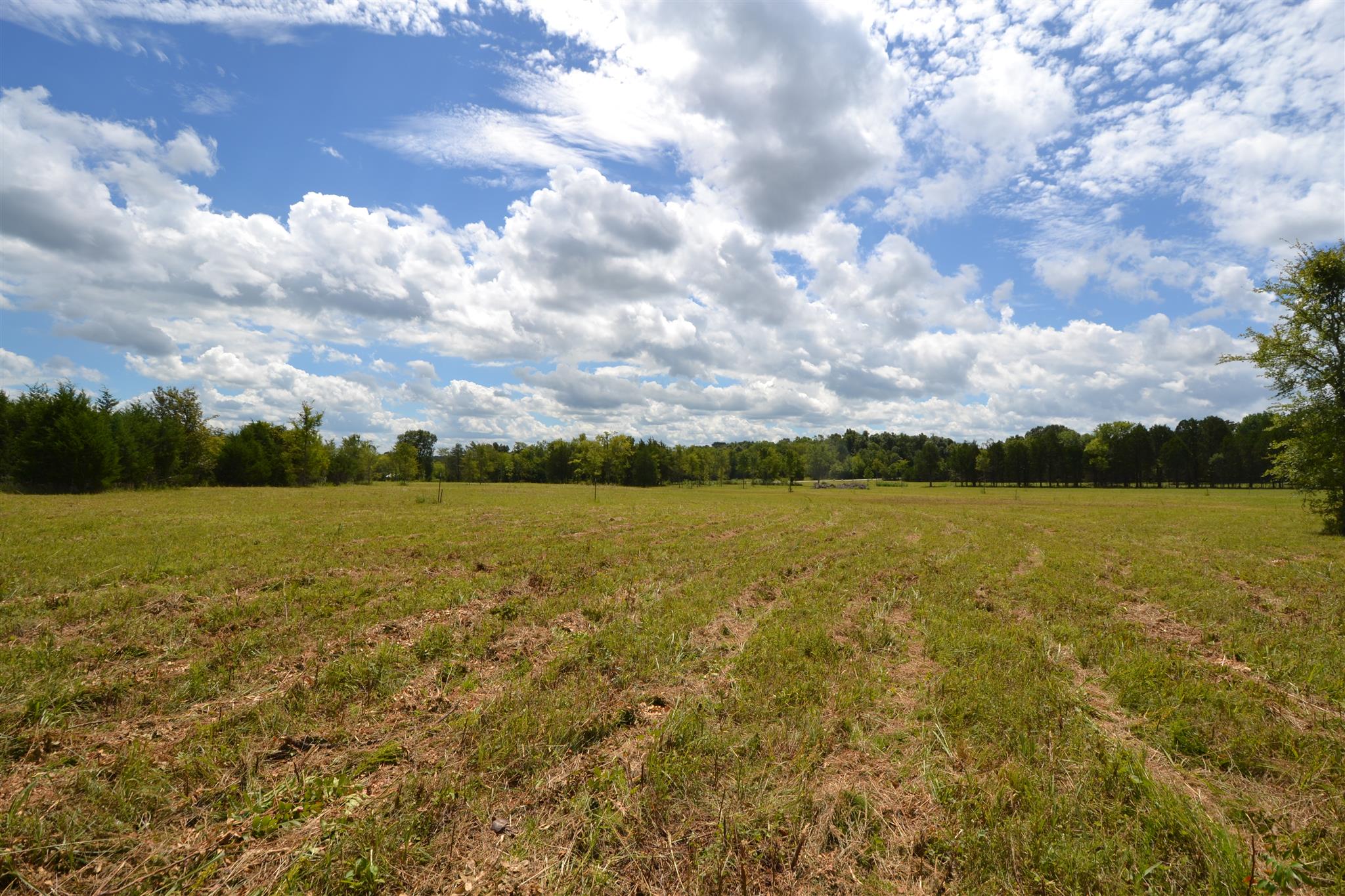 3 Fall Creek Road Lebanon, TN 37090 - Photo 12 of 14 Gallery Image 12