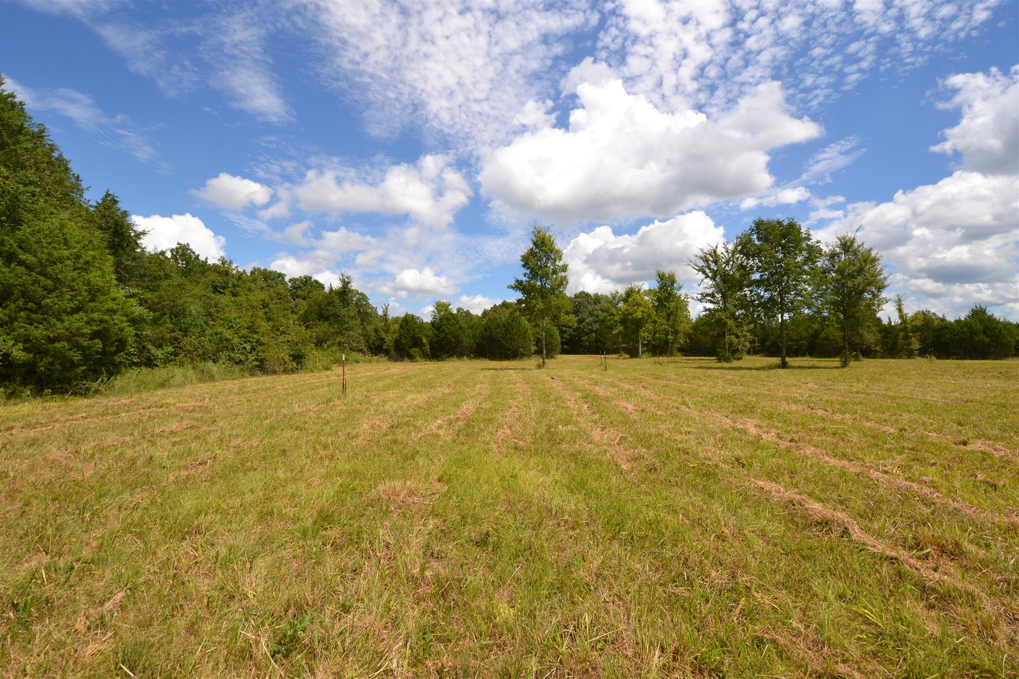 3 Fall Creek Road Lebanon, TN 37090 - Photo 13 of 14 Gallery Image 13