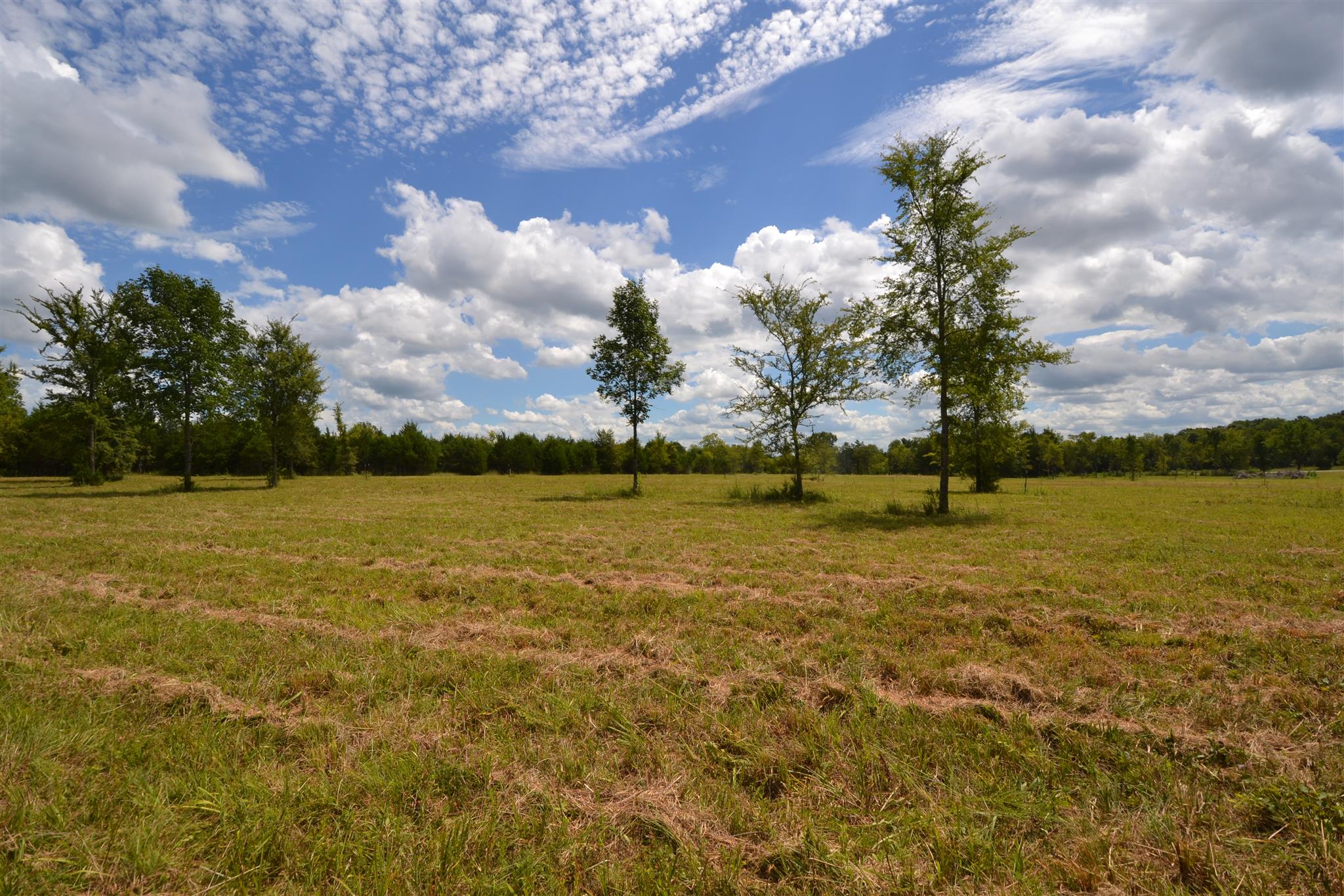 3 Fall Creek Road Lebanon, TN 37090 - Photo 14 of 14 Gallery Image 14