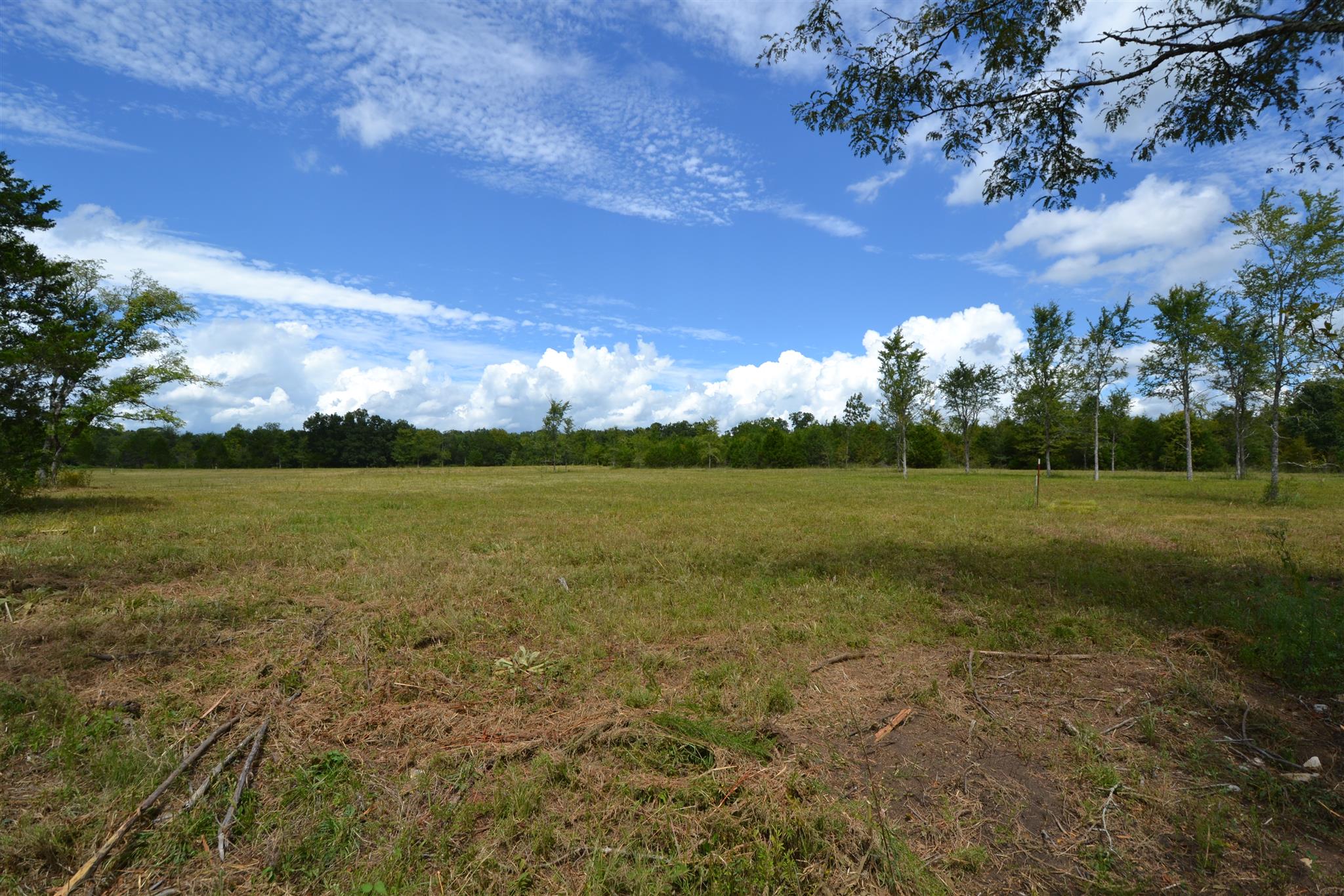 3 Fall Creek Road Lebanon, TN 37090 - Photo 3 of 14 Gallery Image 3