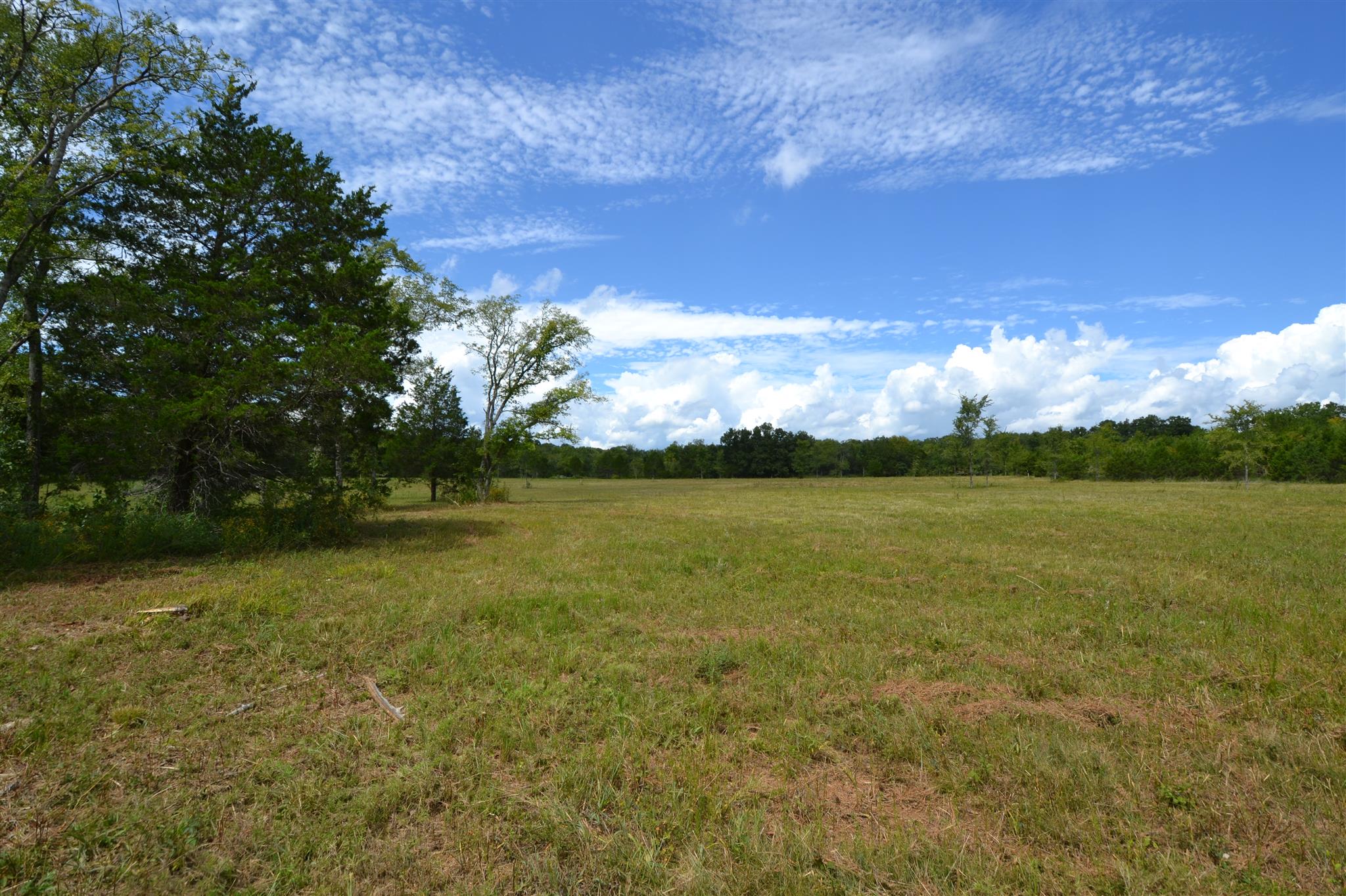 3 Fall Creek Road Lebanon, TN 37090 - Photo 4 of 14 Gallery Image 4