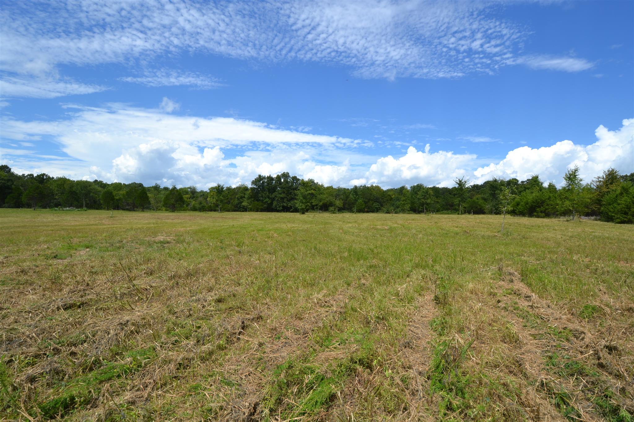 3 Fall Creek Road Lebanon, TN 37090 - Photo 7 of 14 Gallery Image 7