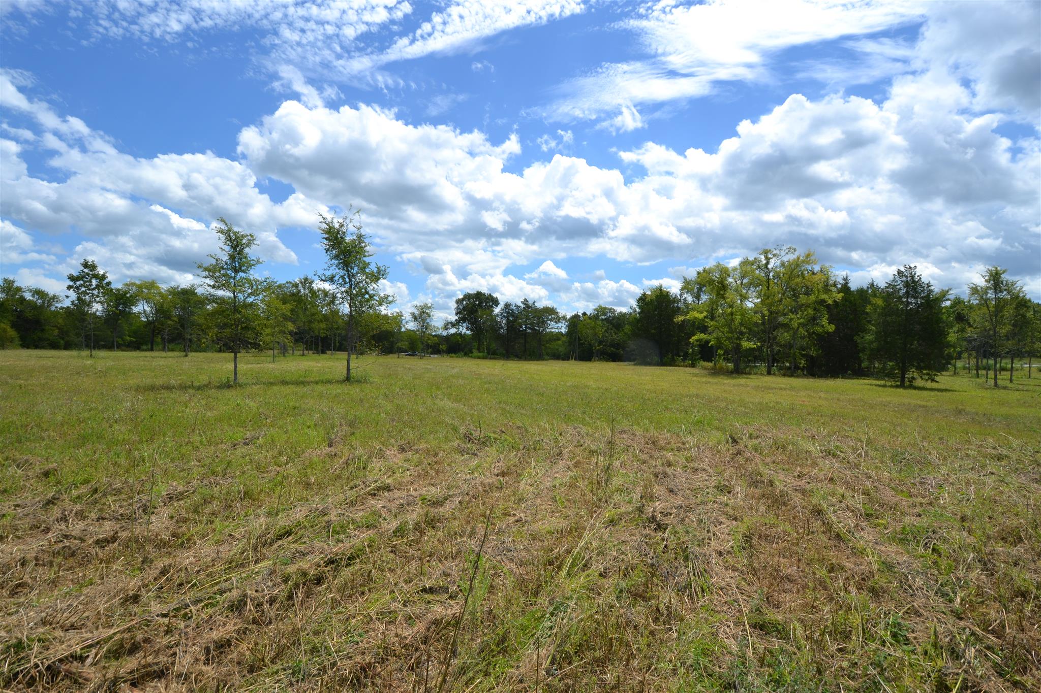 3 Fall Creek Road Lebanon, TN 37090 - Photo 8 of 14 Gallery Image 8