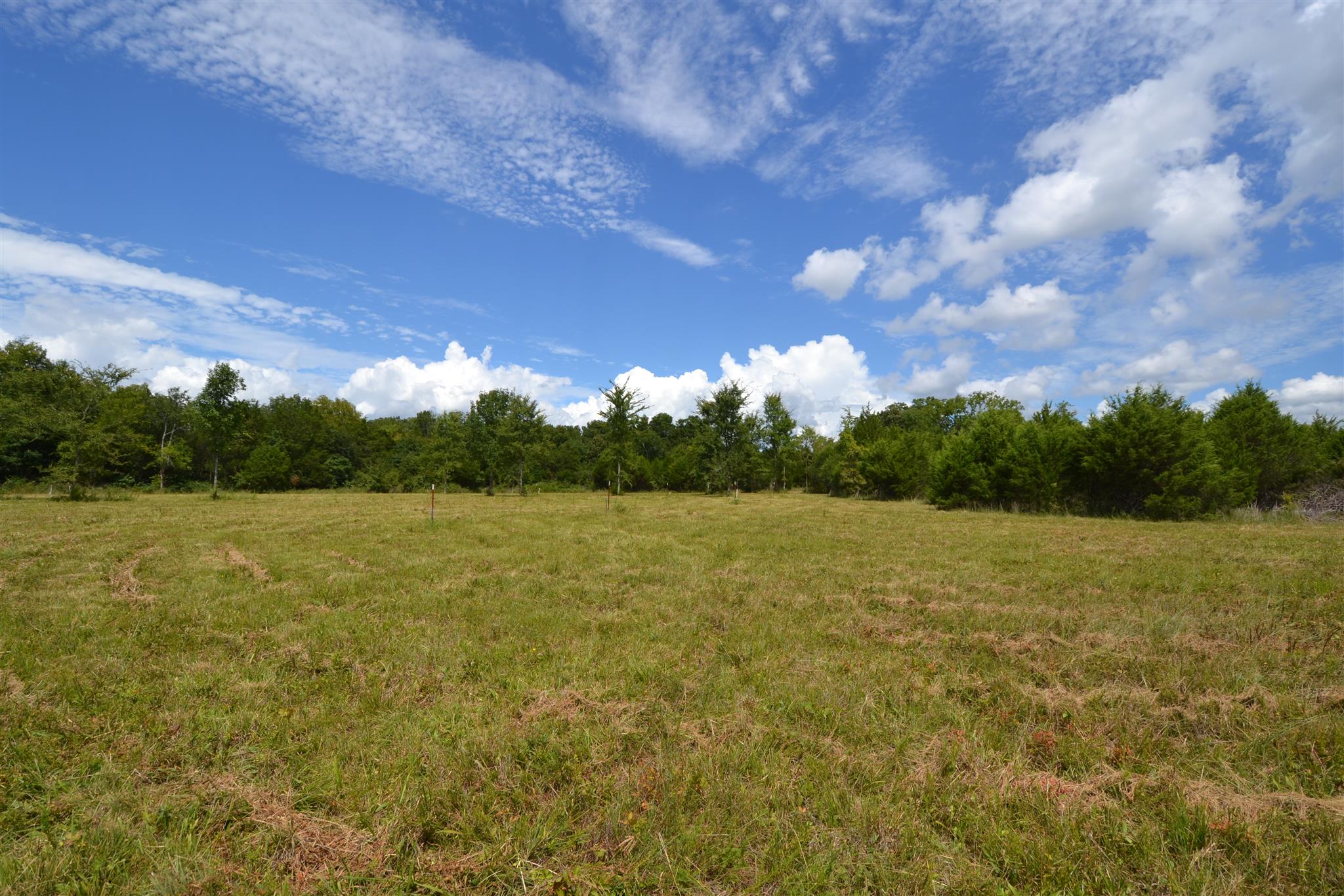 3 Fall Creek Road Lebanon, TN 37090 - Photo 9 of 14 Gallery Image 9