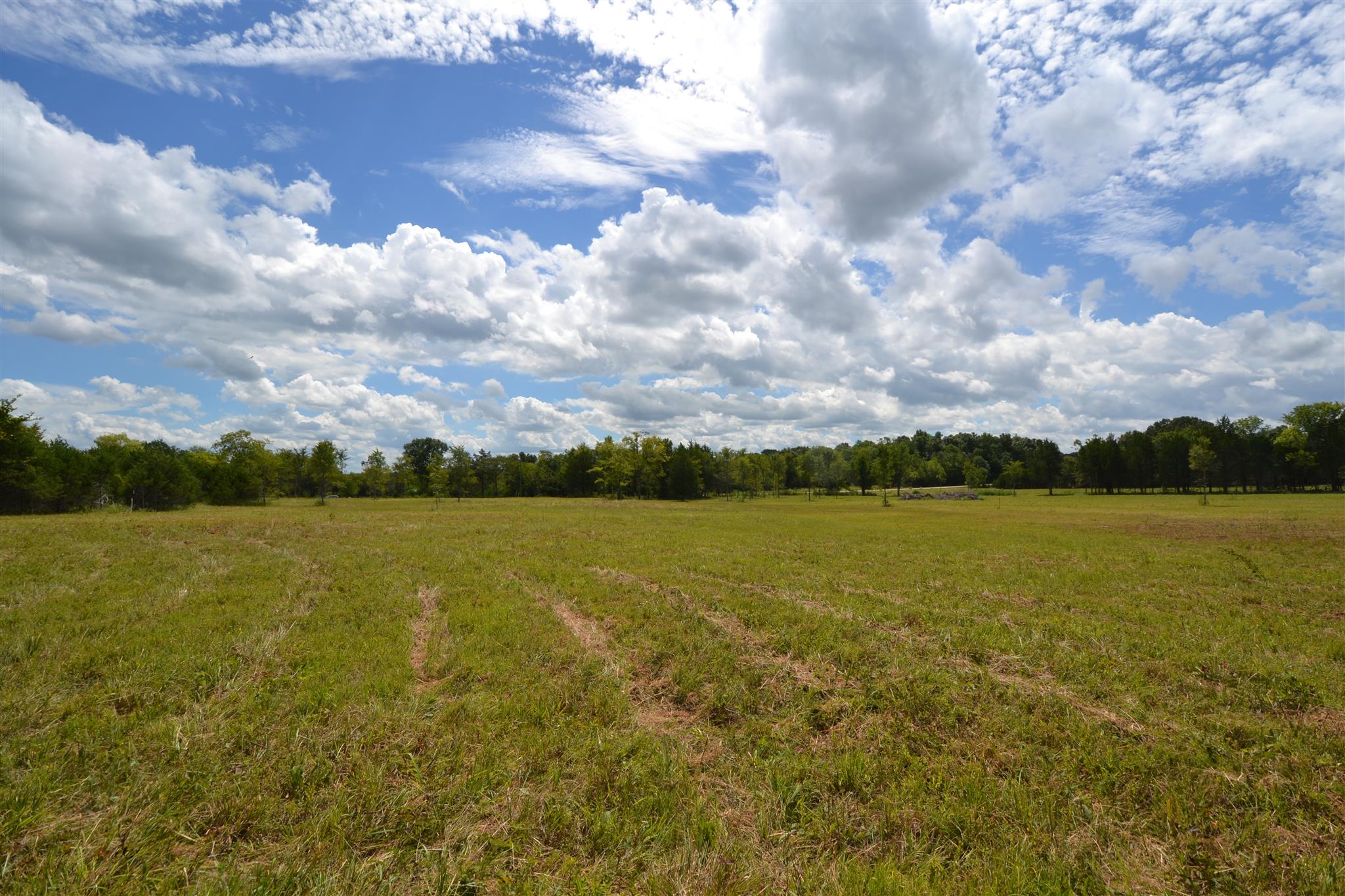 3 Fall Creek Road Lebanon, TN 37090 - Photo 10 of 14 Gallery Image 10