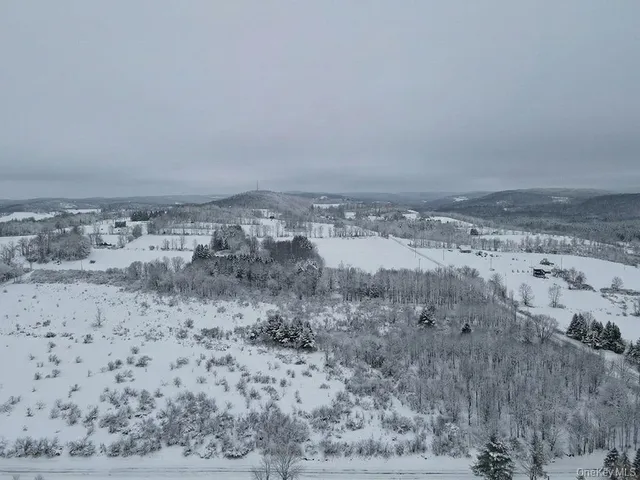 a view of a dry yard with wooden floor