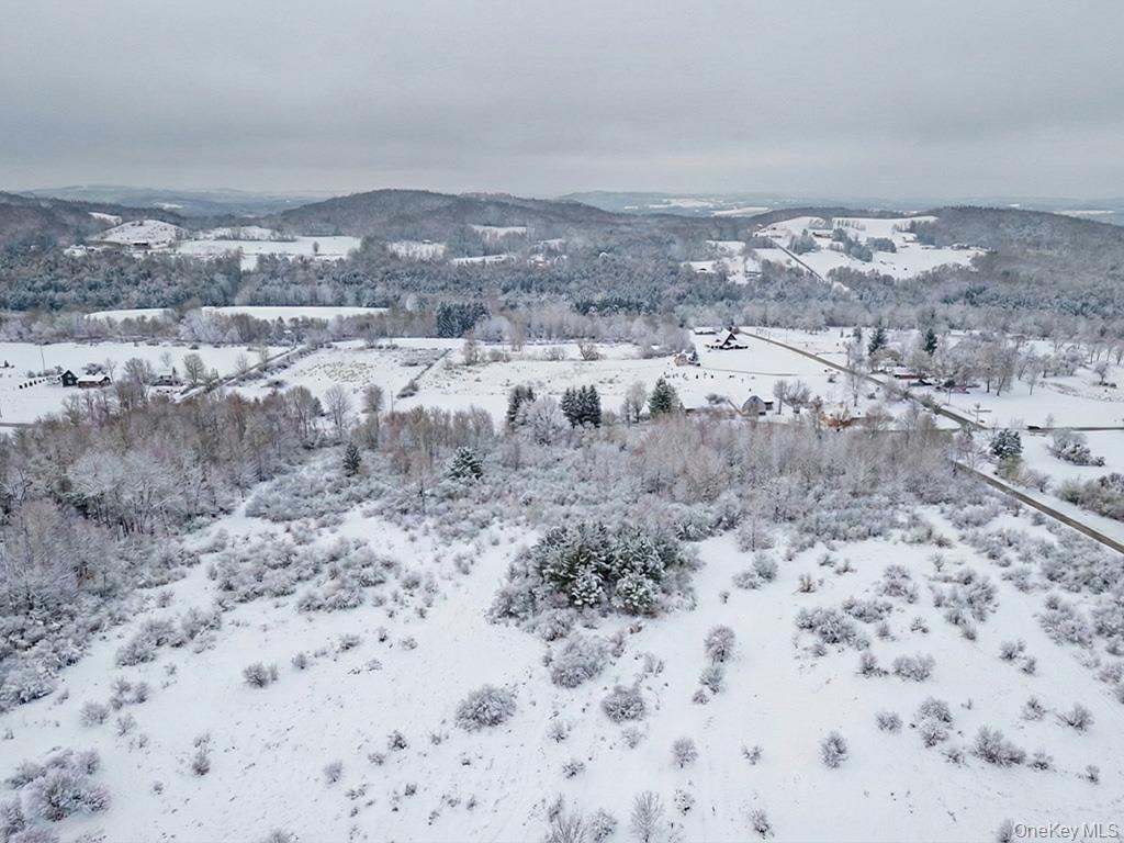 625 Beechwoods Road Callicoon, NY 12723 - Photo 3 of 10 a view of a dry yard with mountains in the background