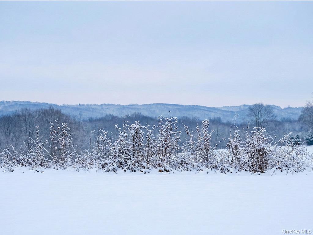625 Beechwoods Road Callicoon, NY 12723 - Photo 4 of 10 a view of a dry yard with mountains in the background