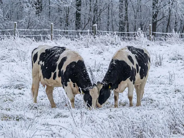 a view of water heater