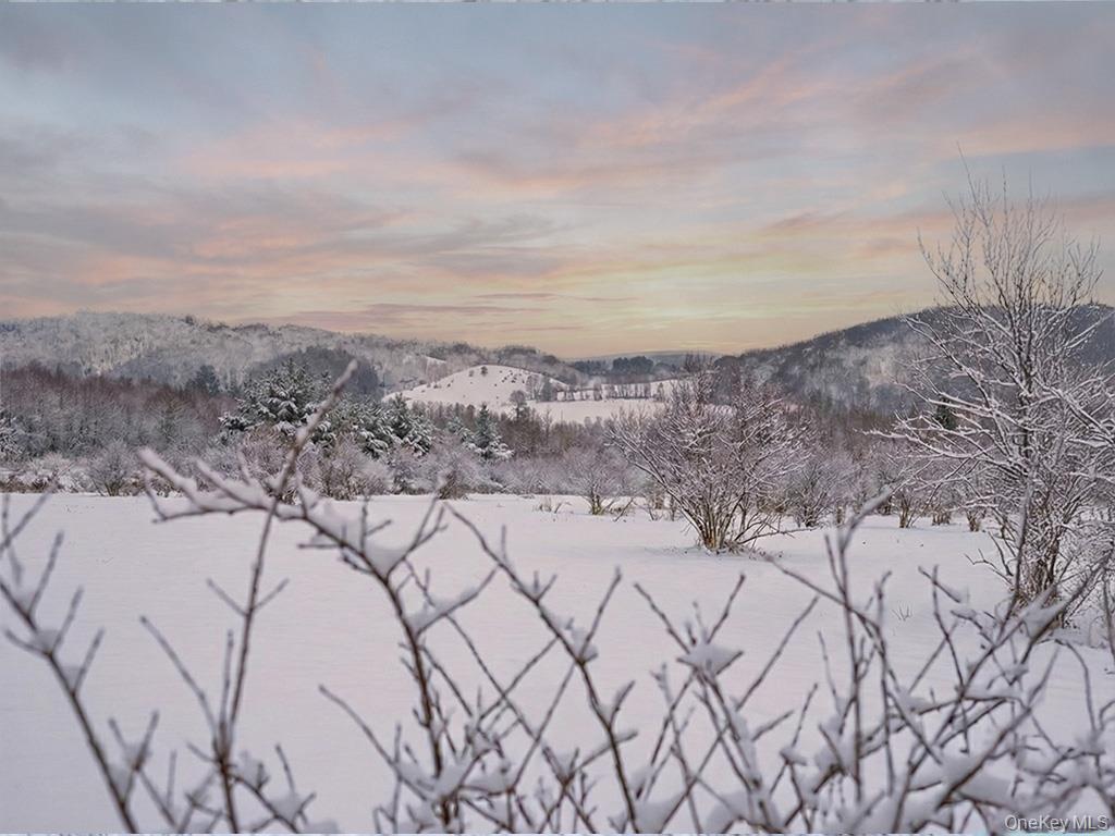 625 Beechwoods Road Callicoon, NY 12723 - Photo 6 of 10 a view of mountains and mountain