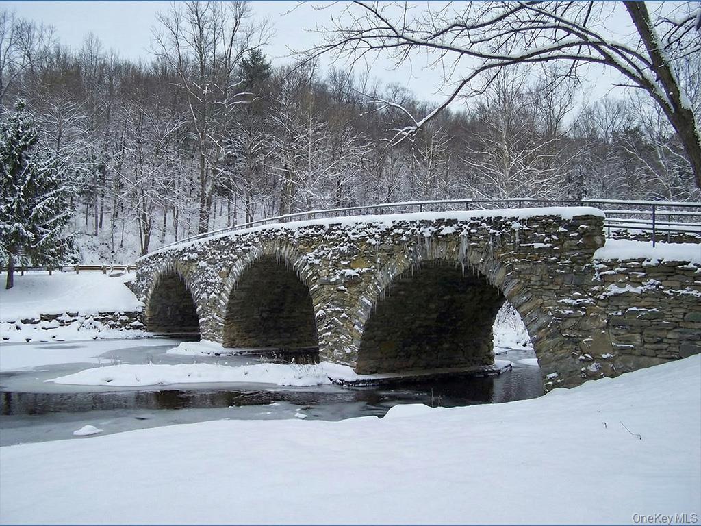 625 Beechwoods Road Callicoon, NY 12723 - Photo 8 of 10 a view of outdoor space and car parked