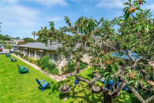 a view of a garden with plants