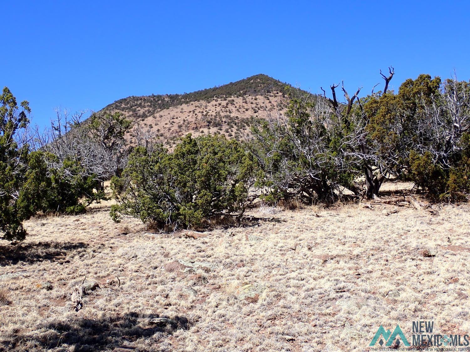 Tanglewood Datil, NM 87821 - Photo 13 of 15 View of mountain backdrop