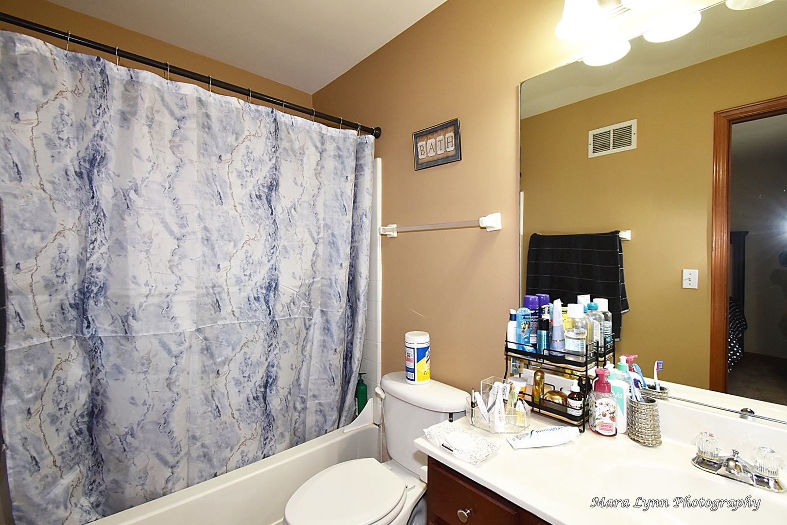 987 Symphony Drive Aurora, IL 60504 - Photo 17 of 27 a bathroom with a sink toilet and a mirror