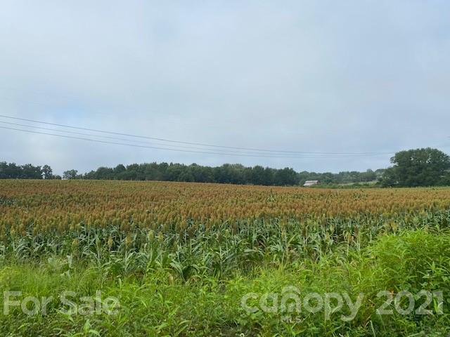 610 Bruce Thomas Road Monroe, NC 28112 - Photo 5 of 8 a view of lake with mountain