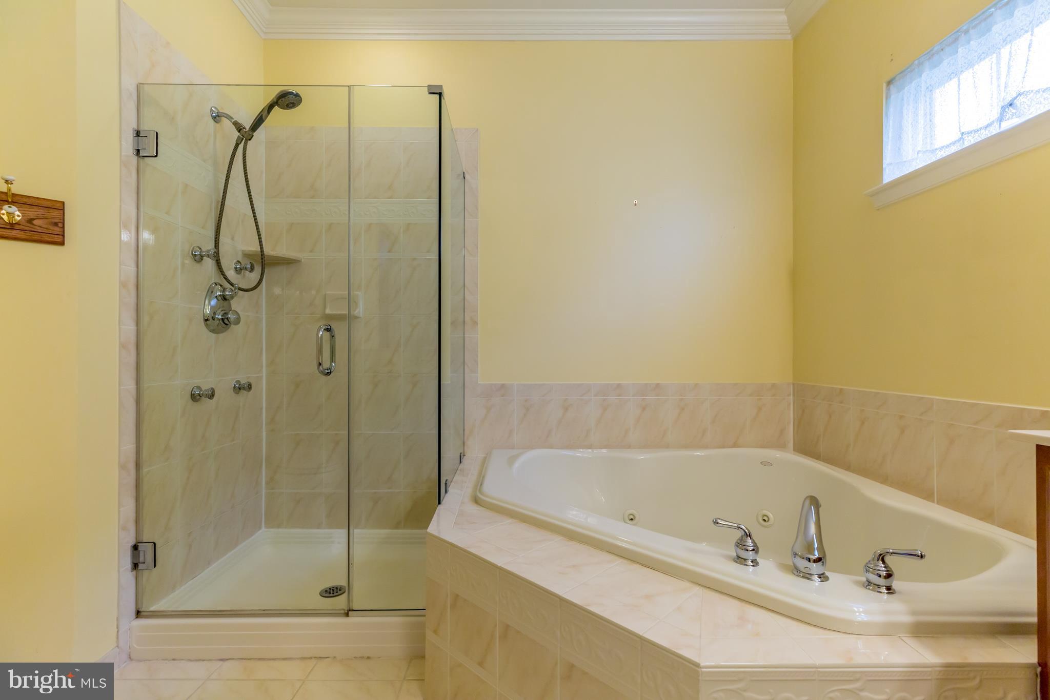 117 Whitall Road Glassboro, NJ 08028 - Photo 22 of 32 Master Bathroom
