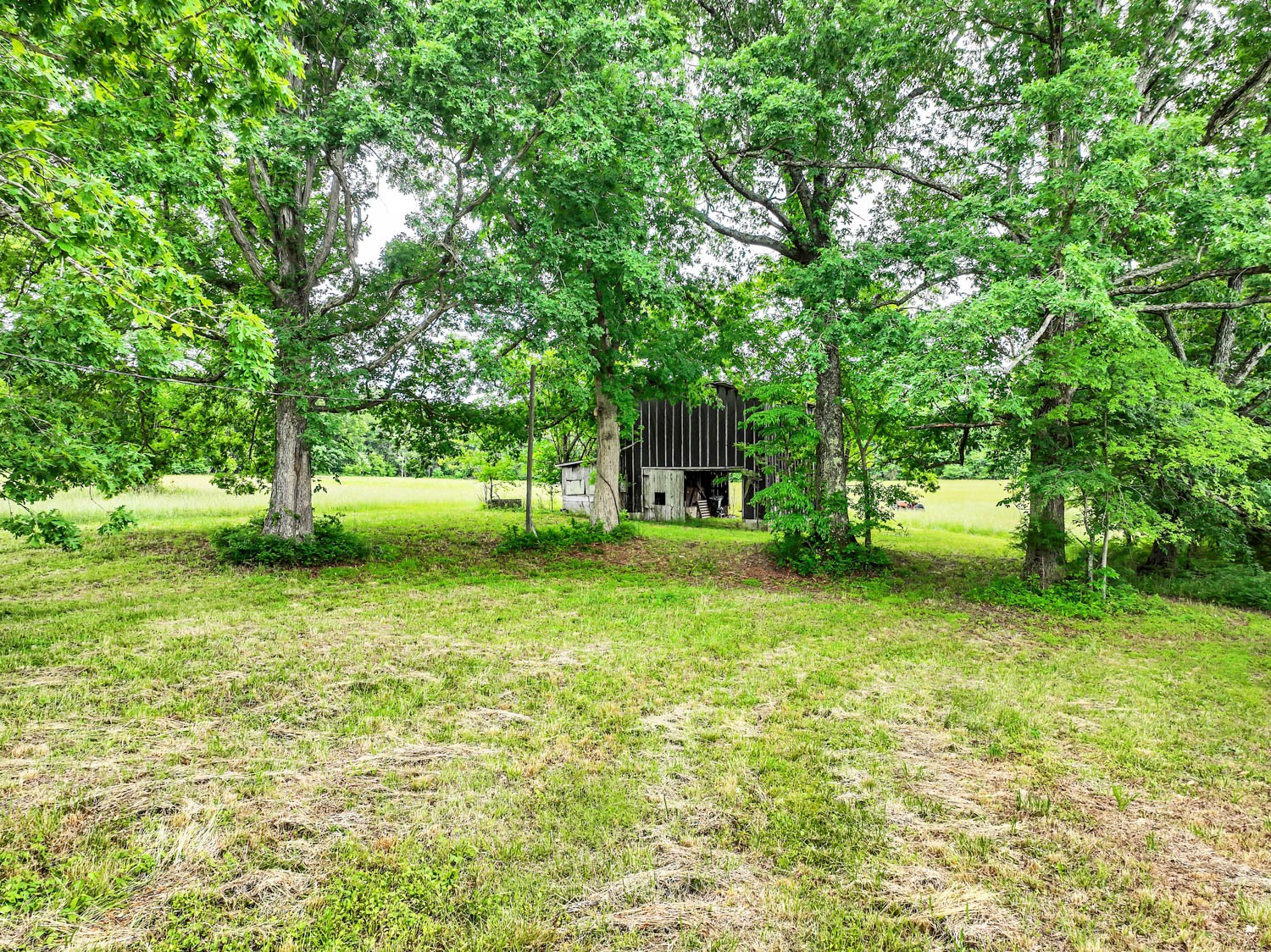 3108 Greer Road Goodlettsville, TN 37072 - Photo 11 of 64 Gallery Image 11