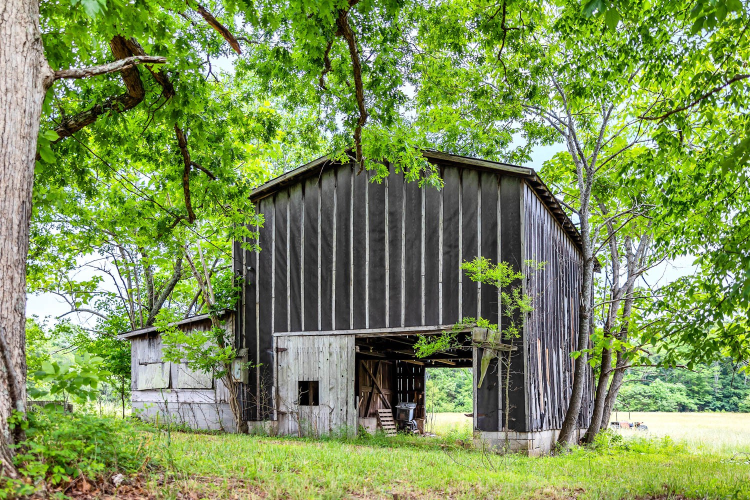 3108 Greer Road Goodlettsville, TN 37072 - Photo 12 of 64 Gallery Image 12