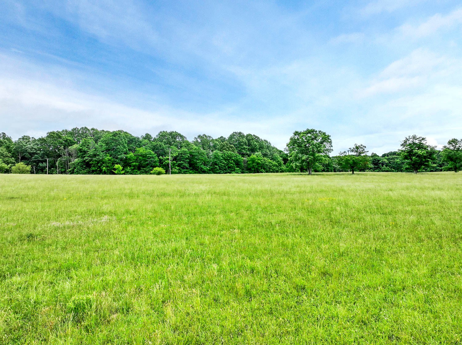 3108 Greer Road Goodlettsville, TN 37072 - Photo 46 of 64 Gallery Image 46
