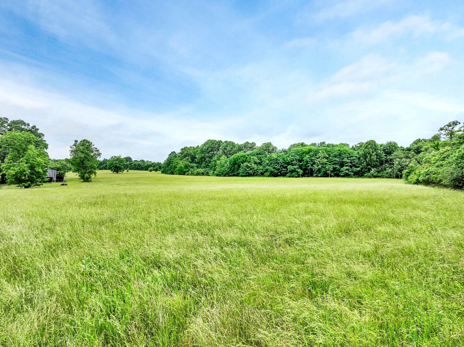 3108 Greer Road Goodlettsville, TN 37072 - Photo 47 of 64 Gallery Image 47
