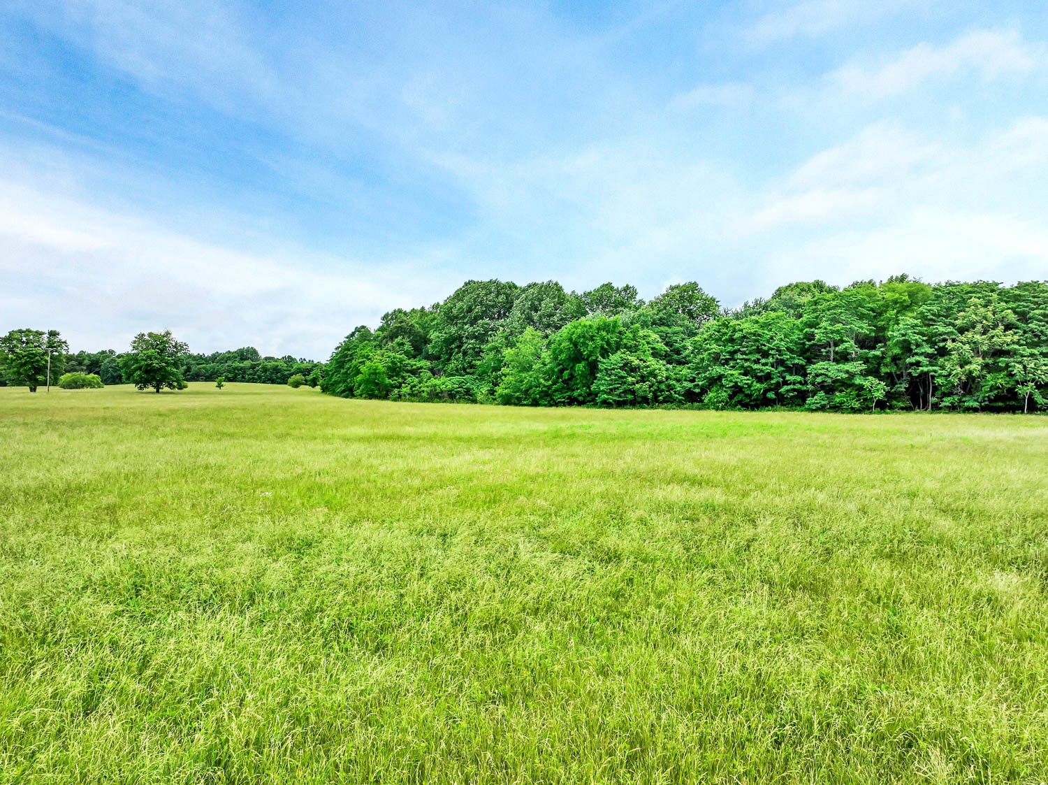 3108 Greer Road Goodlettsville, TN 37072 - Photo 48 of 64 Gallery Image 48