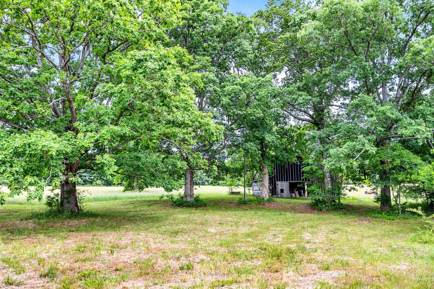 3108 Greer Road Goodlettsville, TN 37072 - Photo 10 of 64 Gallery Image 10