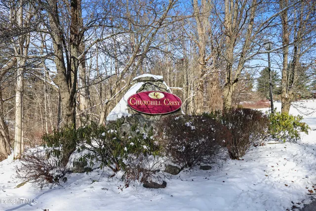 a view of a backyard of a house with a fountain and large trees