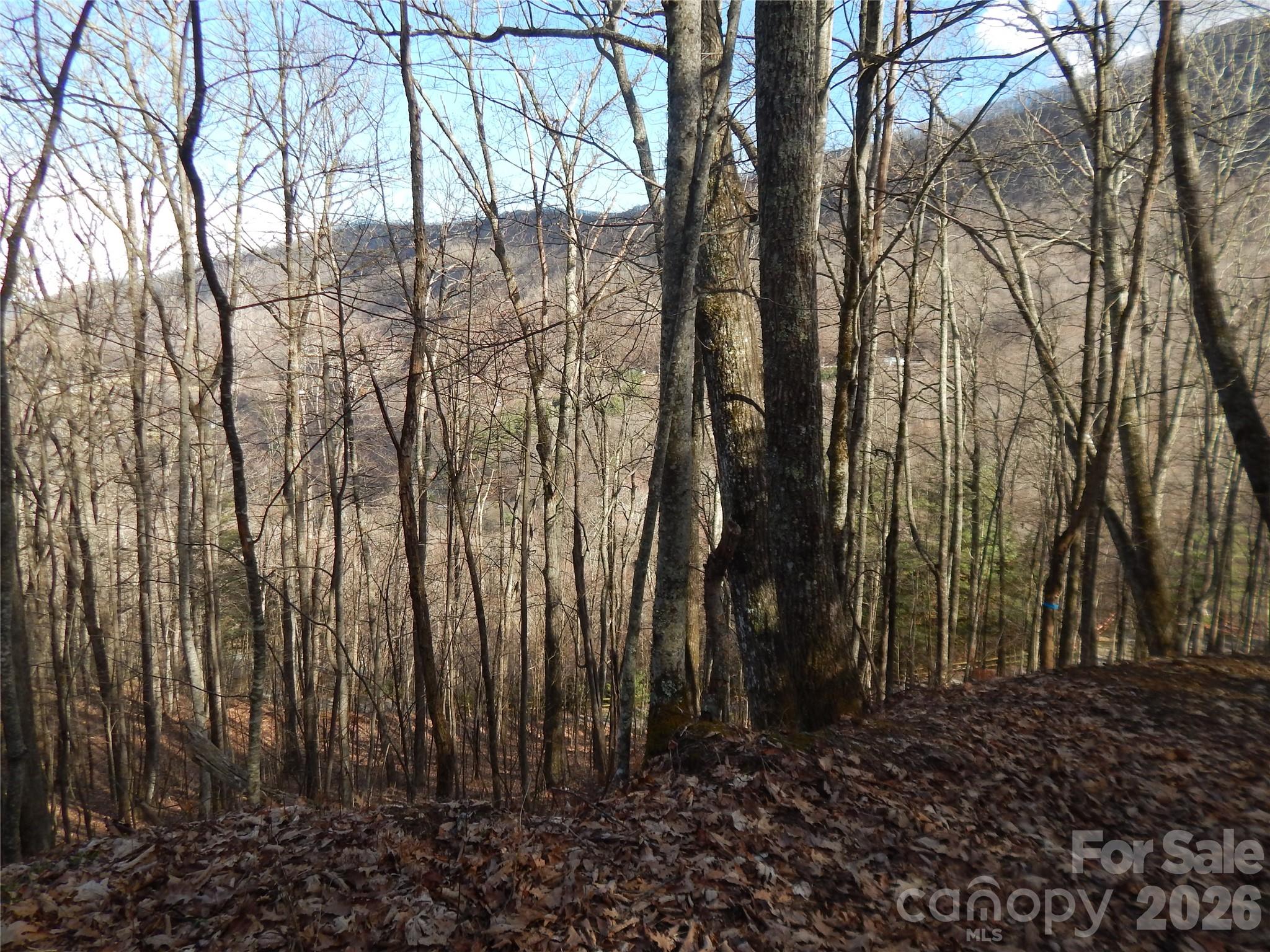 0 Hoot Owl Bill Road Maggie Valley, NC 28751 - Photo 6 of 24