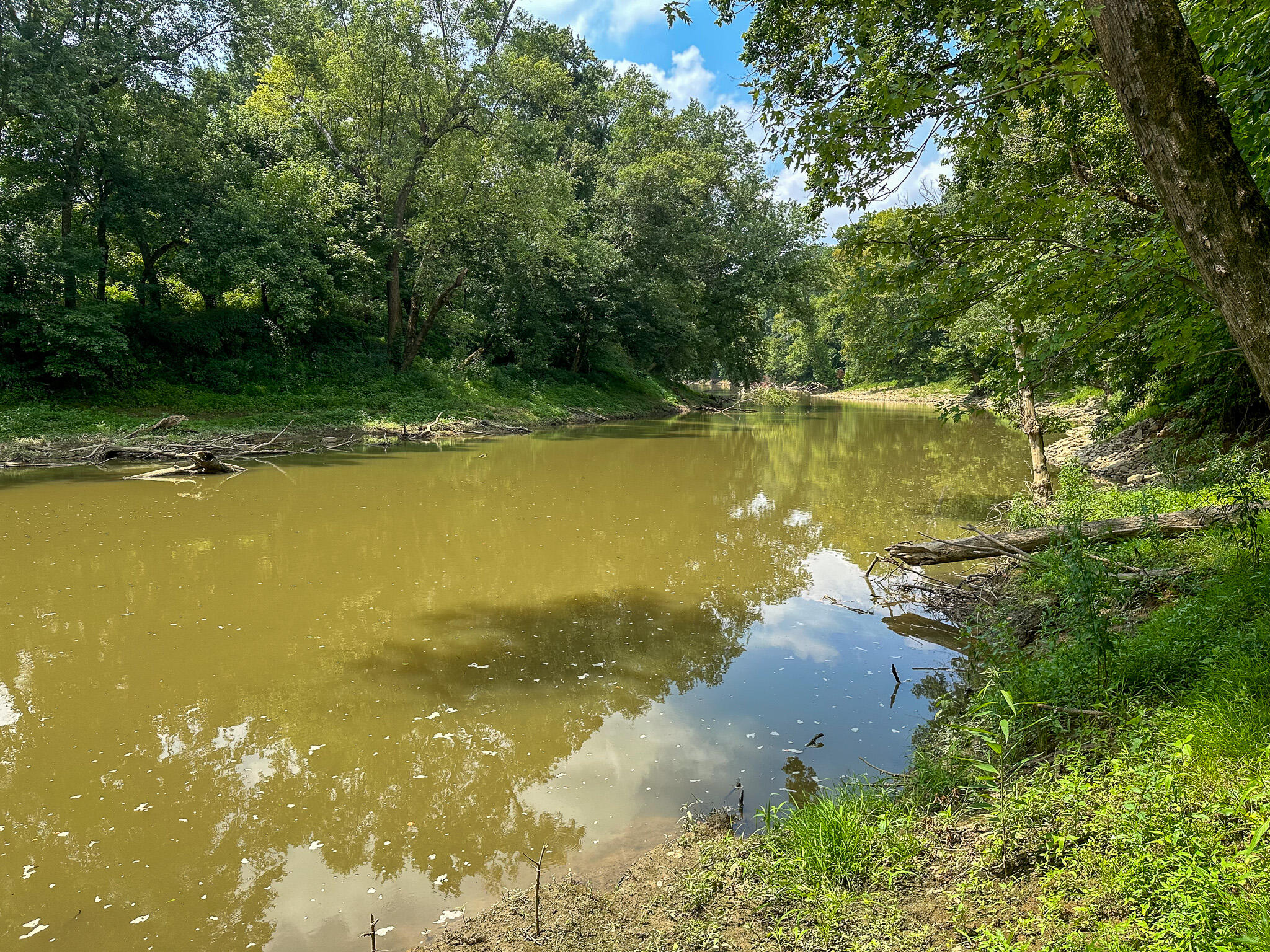 0 Abners Mill Road Ewing, KY 41039 - Photo 65 of 122 IMG_4309