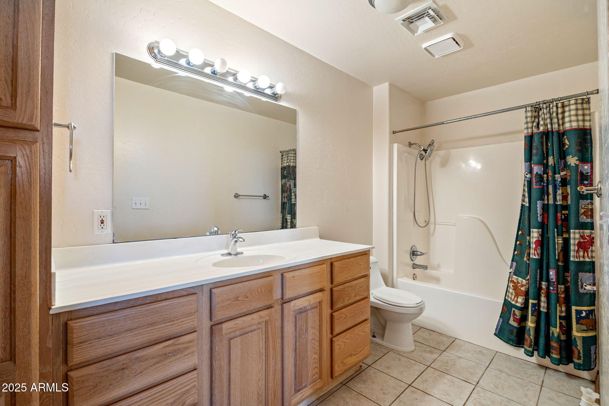 800 Arena Estates Taylor, AZ 85939 - Photo 39 of 50 a bathroom with a sink a toilet and shower