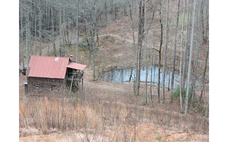 2350 Bell Creek Road Murphy, NC 28906 - Photo 1 of 1 Main View