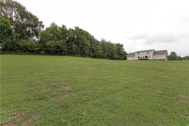 2021 Bradbury Road Adams, TN 37010 - Photo 20 of 20 Backyard view