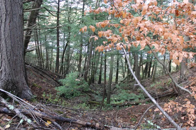 $215,000 | 735 Sandy River Road, Starks, ME 04911