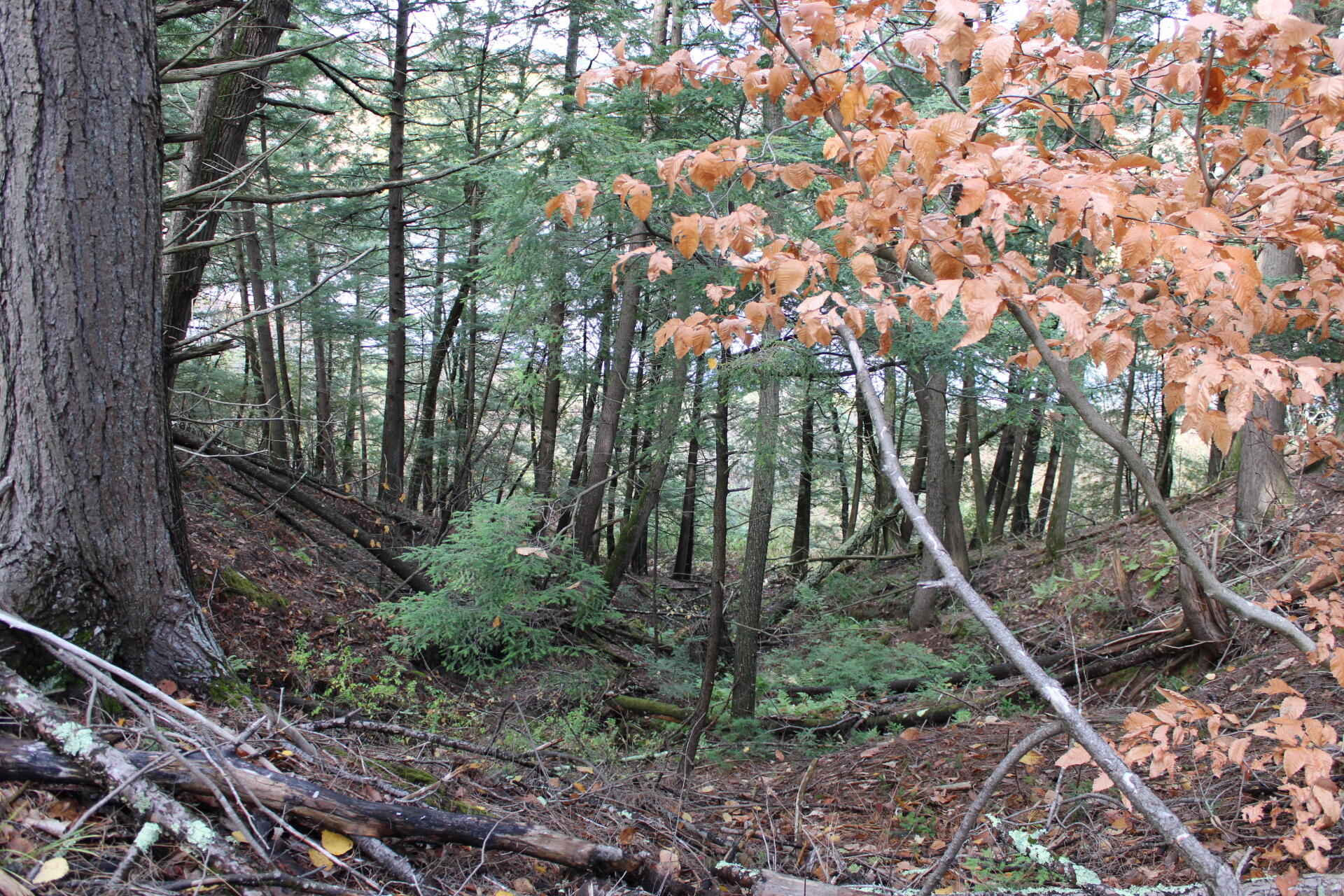 735 Sandy River Road Starks, ME 04911 - Photo 37 of 44 IMG_1786