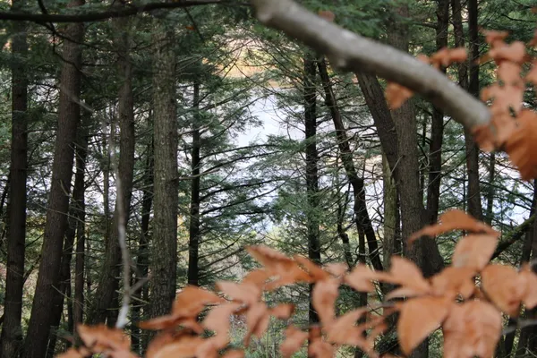 $199,000 | 735 Sandy River Road, Starks, ME 04911