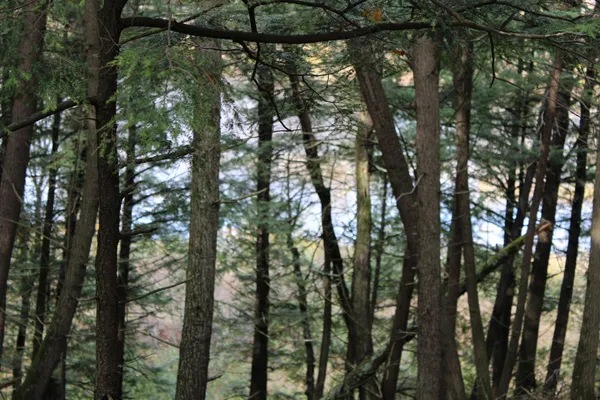 $199,000 | 735 Sandy River Road, Starks, ME 04911