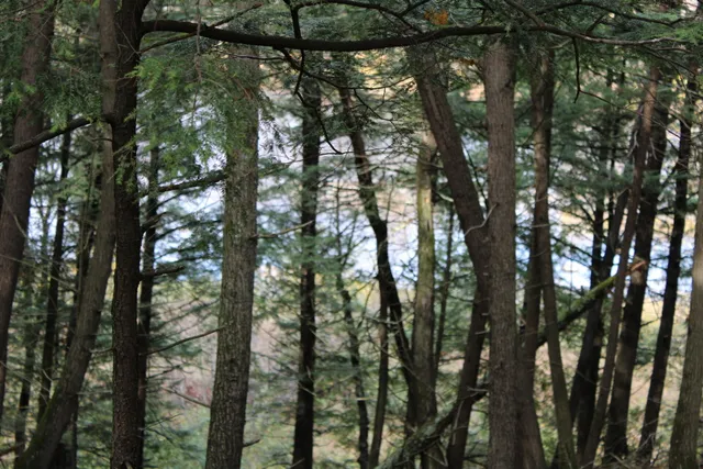 $215,000 | 735 Sandy River Road, Starks, ME 04911