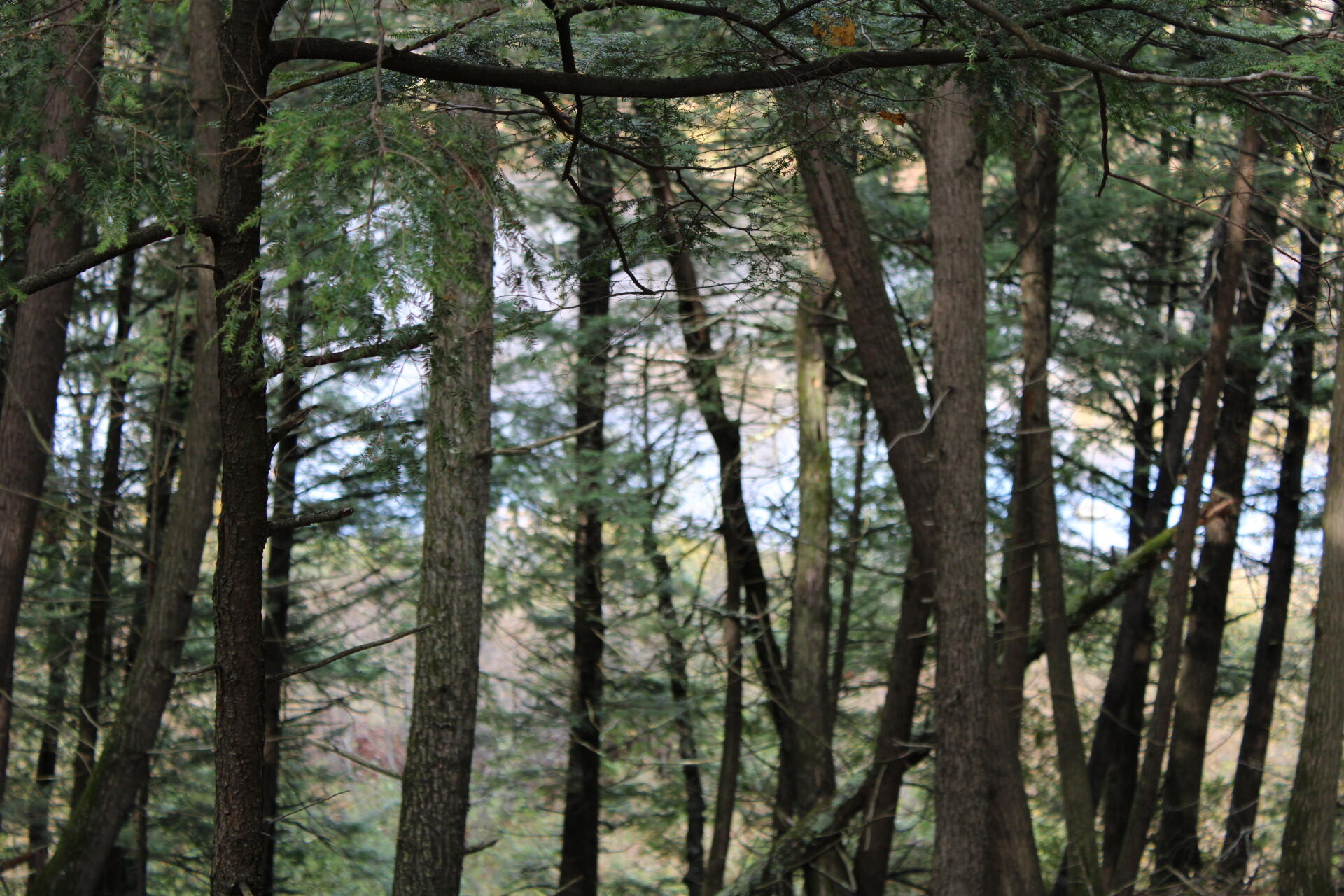 735 Sandy River Road Starks, ME 04911 - Photo 39 of 44 IMG_1788