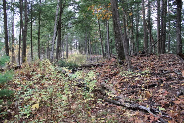 $215,000 | 735 Sandy River Road, Starks, ME 04911