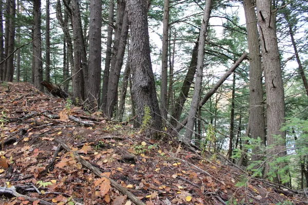 $199,000 | 735 Sandy River Road, Starks, ME 04911