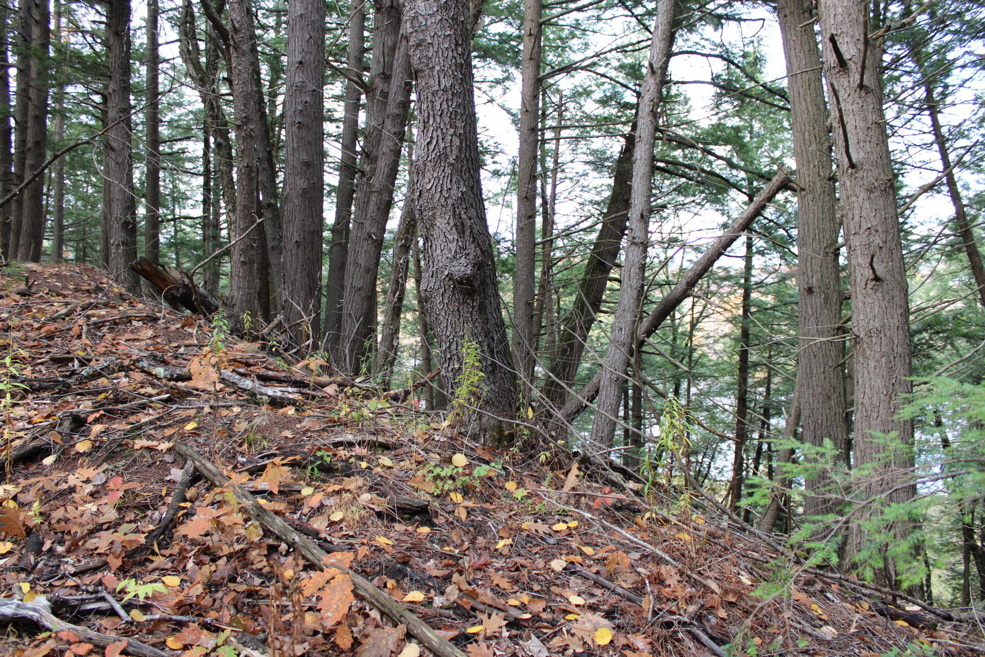 735 Sandy River Road Starks, ME 04911 - Photo 41 of 44 IMG_1790