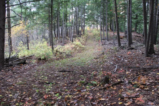 $215,000 | 735 Sandy River Road, Starks, ME 04911